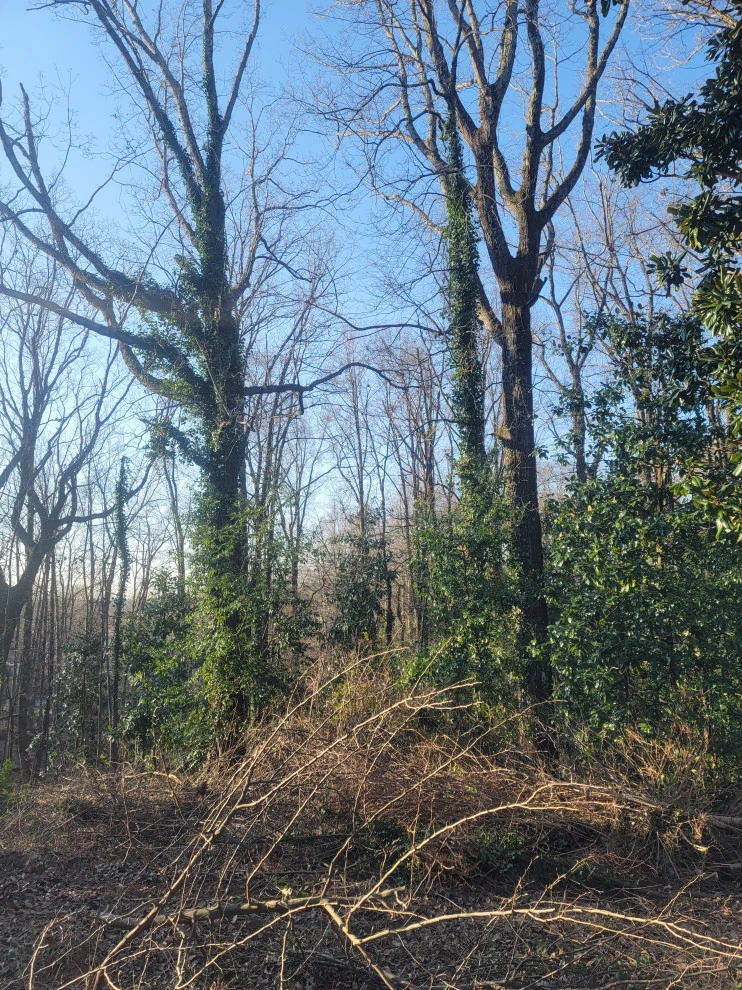 D M Landscape Design Llc - Photo 10