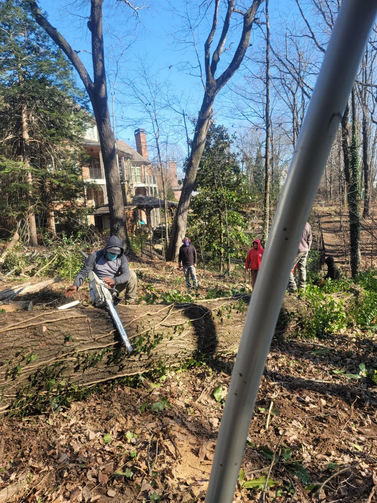 D M Landscape Design Llc - Photo 11