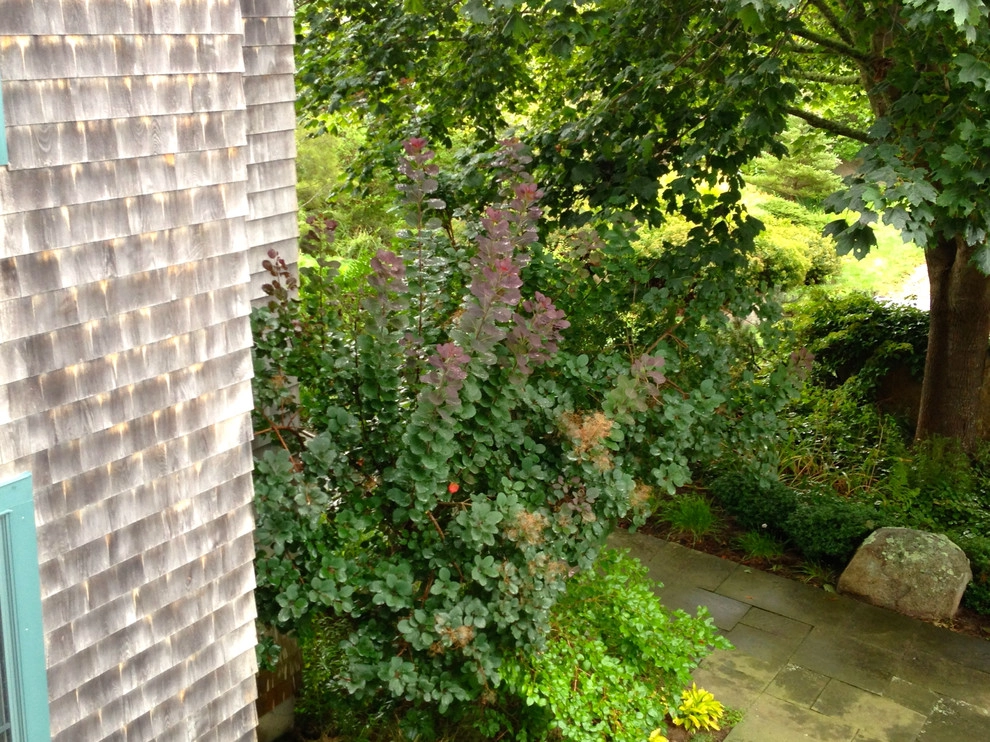 Coastal Rhode Island Garden: Salt Pond Friendly by Gentle Gardener Green Design - Photo 3