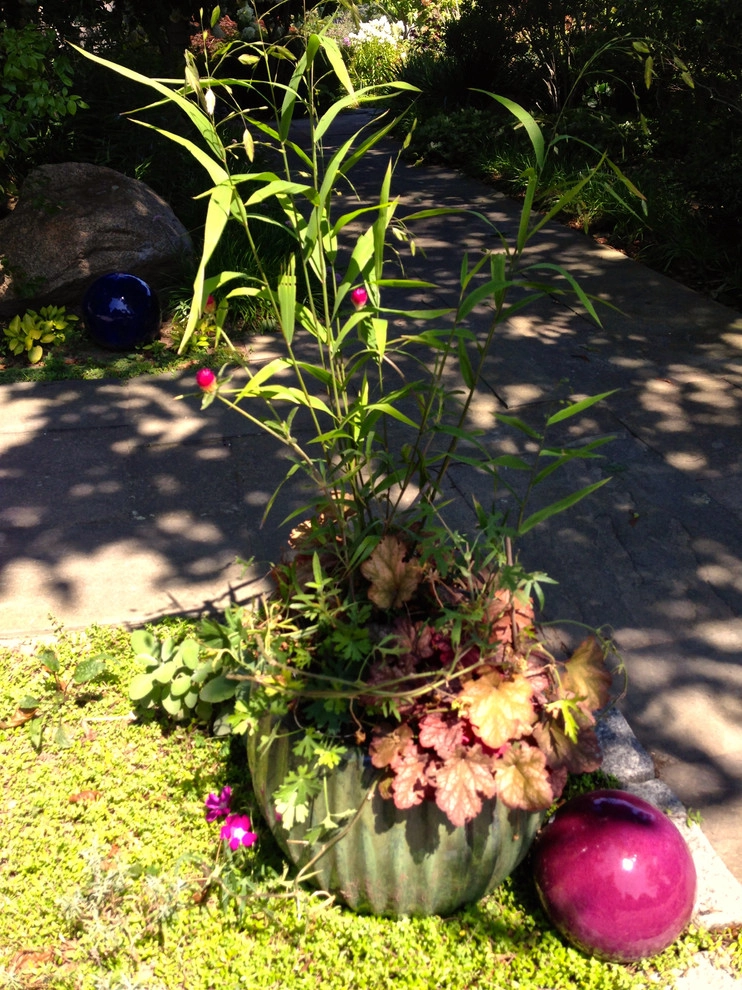 Coastal Rhode Island Garden: Salt Pond Friendly by Gentle Gardener Green Design - Photo 21