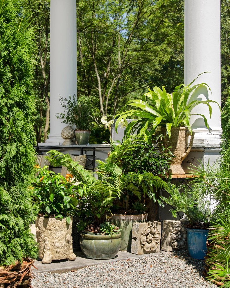 Richmond, VA: Symphony Designer House&Grounds: Pinifer Park by Gentle Gardener Green Design - Photo 2