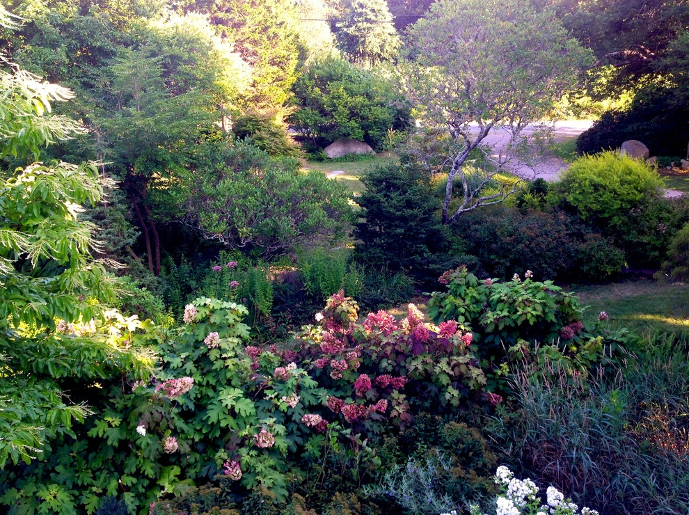 Coastal Rhode Island Garden: Salt Pond Friendly by Gentle Gardener Green Design - Photo 10