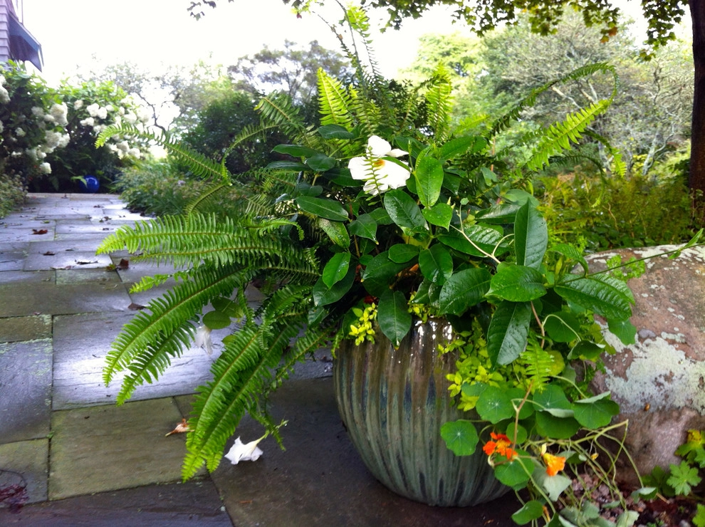 Coastal Rhode Island Garden: Salt Pond Friendly by Gentle Gardener Green Design - Photo 33