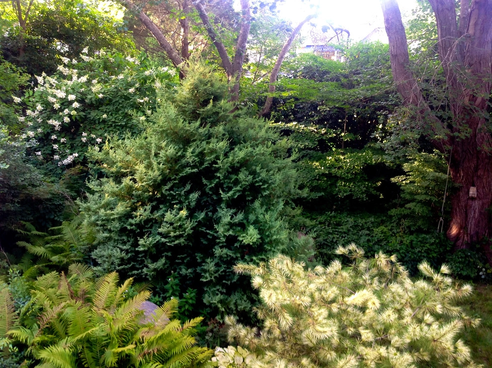 Coastal Rhode Island Garden: Salt Pond Friendly by Gentle Gardener Green Design - Photo 31