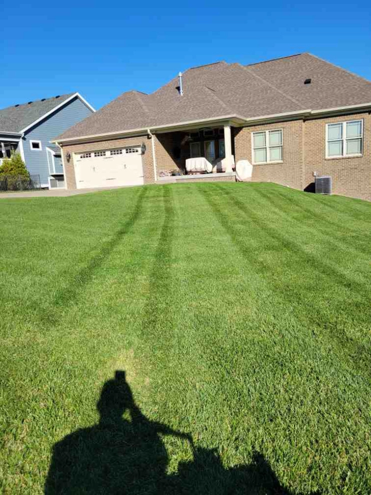 Alberto Alavez Professional Lawn Services LLC 7 by Alberto Alavez Professional Lawn Services LLC - Photo 6