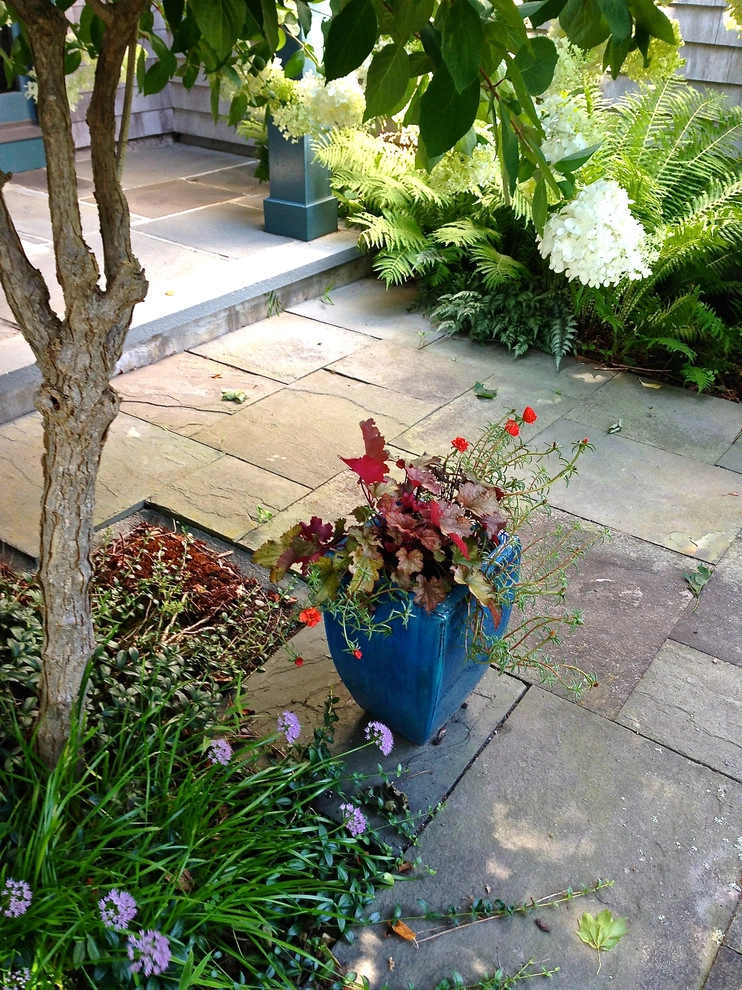 Coastal Rhode Island Garden: Salt Pond Friendly by Gentle Gardener Green Design - Photo 36