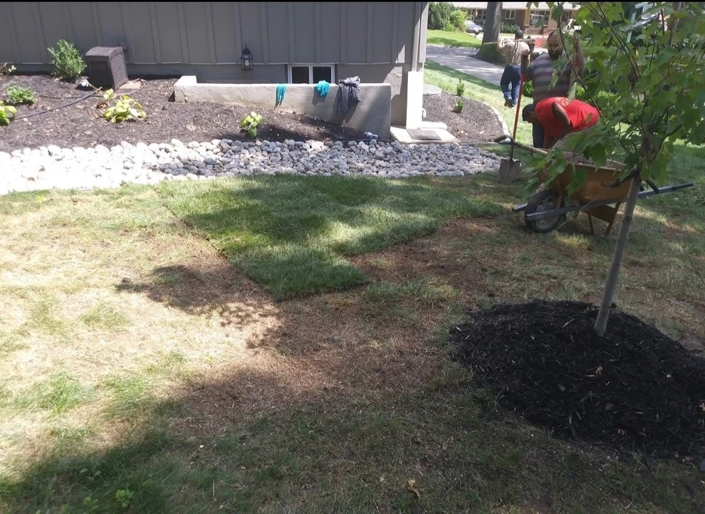 Evergreen Landscape & Construction LLC - Photo 4