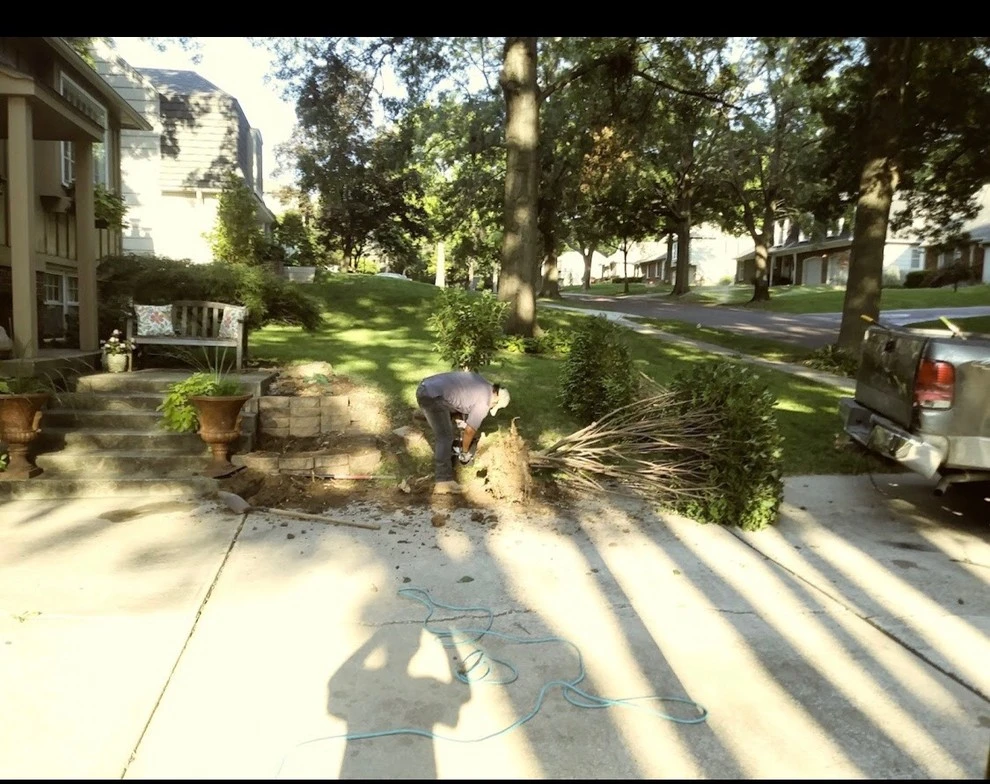 Evergreen Landscape & Construction LLC - Photo 8
