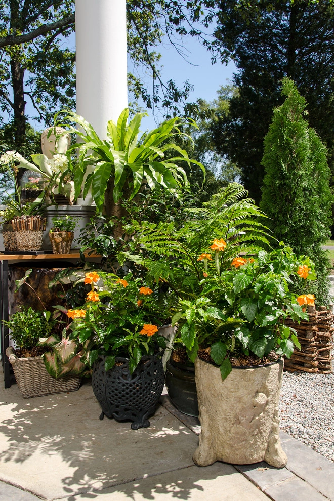 Richmond, VA: Symphony Designer House&Grounds: Pinifer Park by Gentle Gardener Green Design - Photo 6