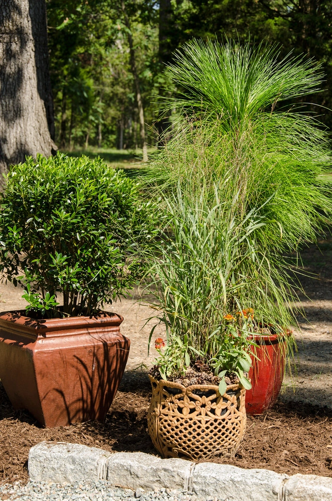Richmond, VA: Symphony Designer House&Grounds: Pinifer Park by Gentle Gardener Green Design - Photo 4