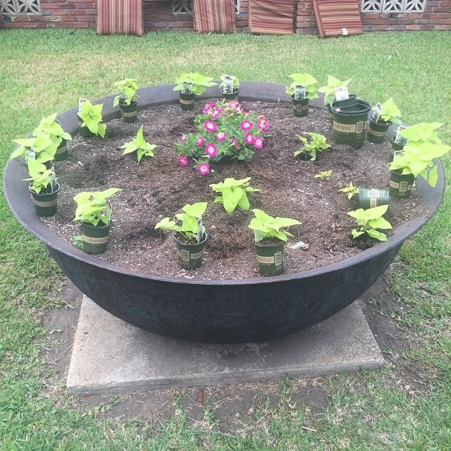 Forstall's Landscaping - Photo 3