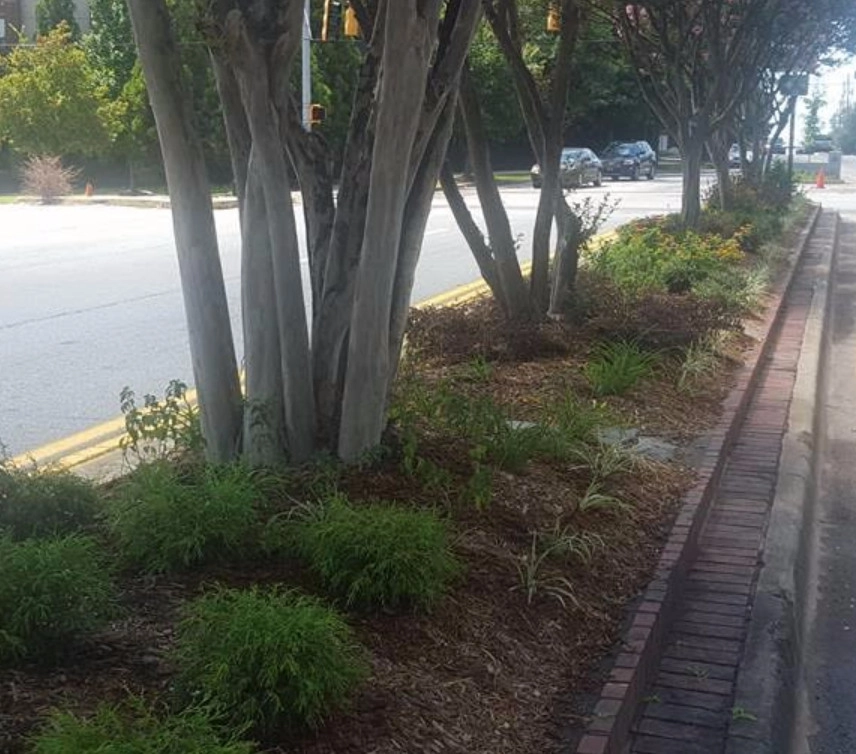 Georgia Landscape And Tree Service - Photo 4