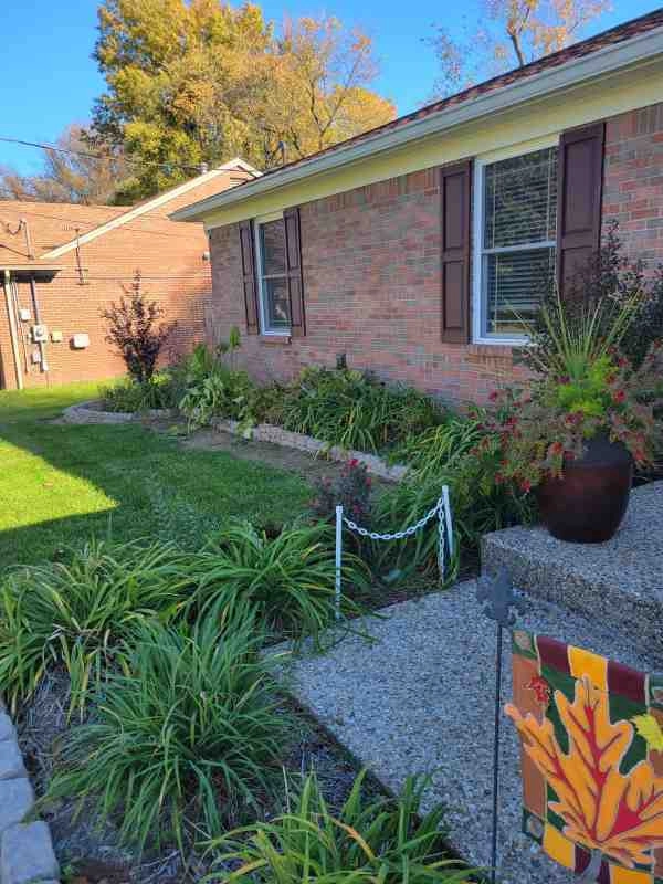 Alberto Alavez Professional Lawn Services LLC 7 by Alberto Alavez Professional Lawn Services LLC - Photo 34