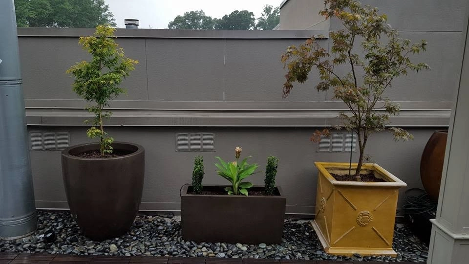 Georgia Landscape And Tree Service - Photo 11