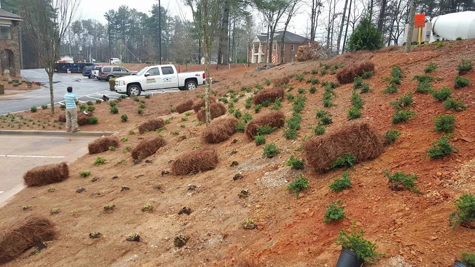 Georgia Landscape And Tree Service - Photo 8