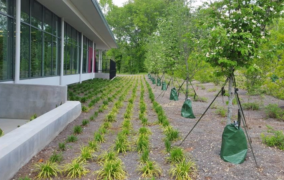 Commercial Landscape by Georgia Landscape And Tree Service - Photo 7