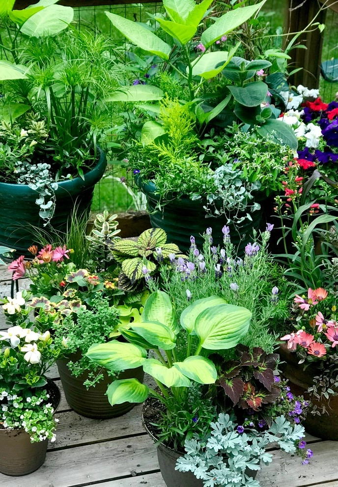 Plantings by Geoscapes Inc. - Photo 20