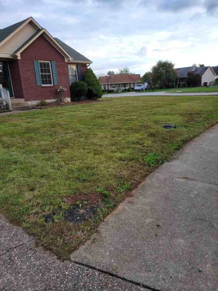 Alberto Alavez Professional Lawn Services LLC 7 by Alberto Alavez Professional Lawn Services LLC - Photo 21