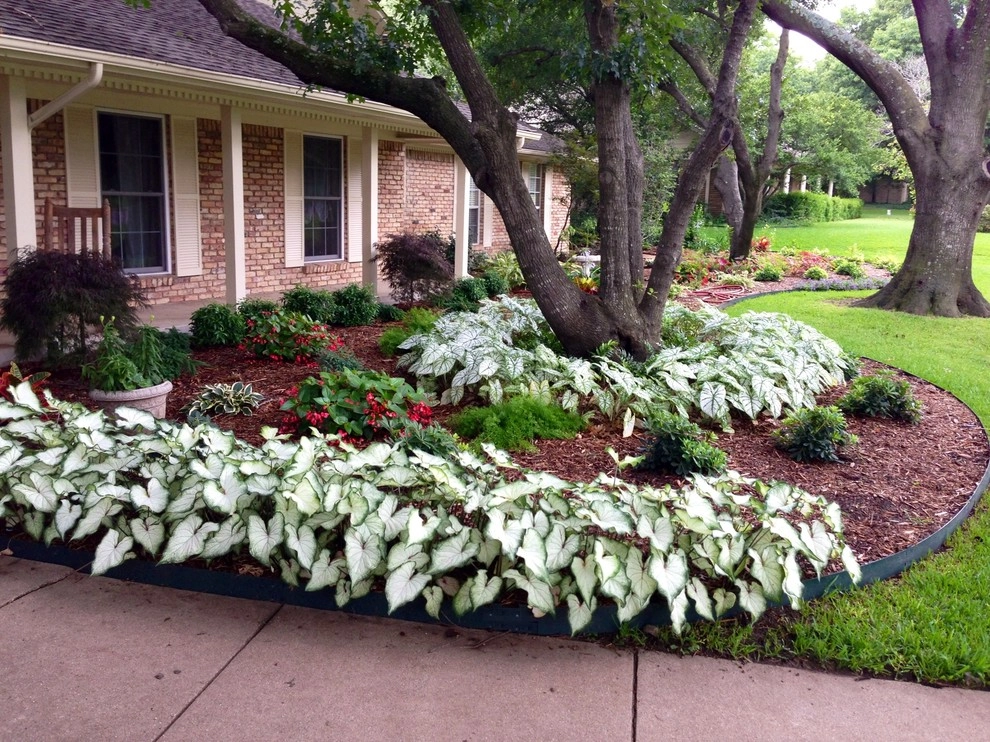 Various Recent Install Projects in Dallas, Prosper by Absolutely Bushed Landscaping - Photo 4