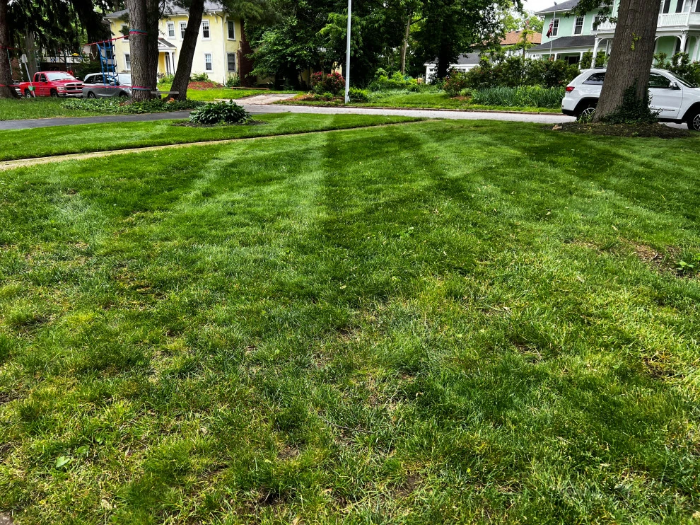 GreenScapeSTL Landscaping And Outdoor Living - Photo 4