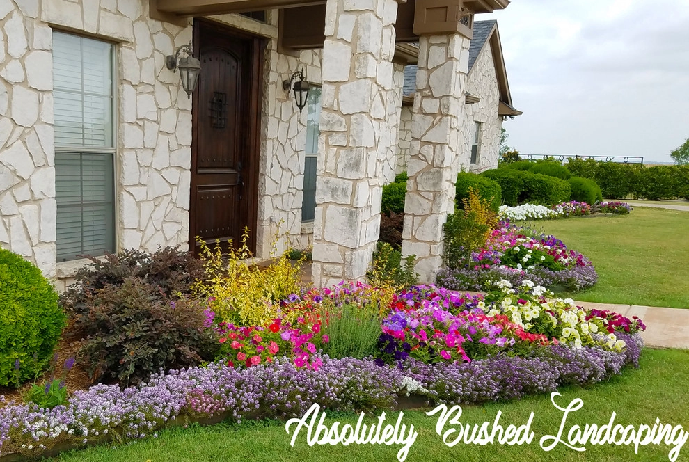 Front Yard Landscaping Project in Prosper by Absolutely Bushed Landscaping - Photo 5