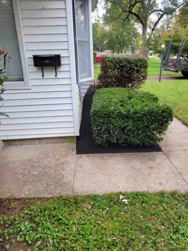 Alberto Alavez Professional Lawn Services LLC 7 by Alberto Alavez Professional Lawn Services LLC - Photo 32