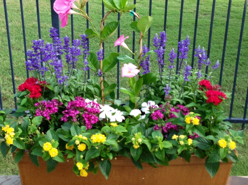 Prosper Fall Landscaping by Absolutely Bushed Landscaping - Photo 11