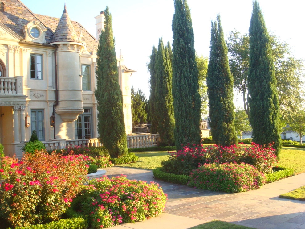 Frisco, Texas Estate Home by Absolutely Bushed Landscaping - Photo 5