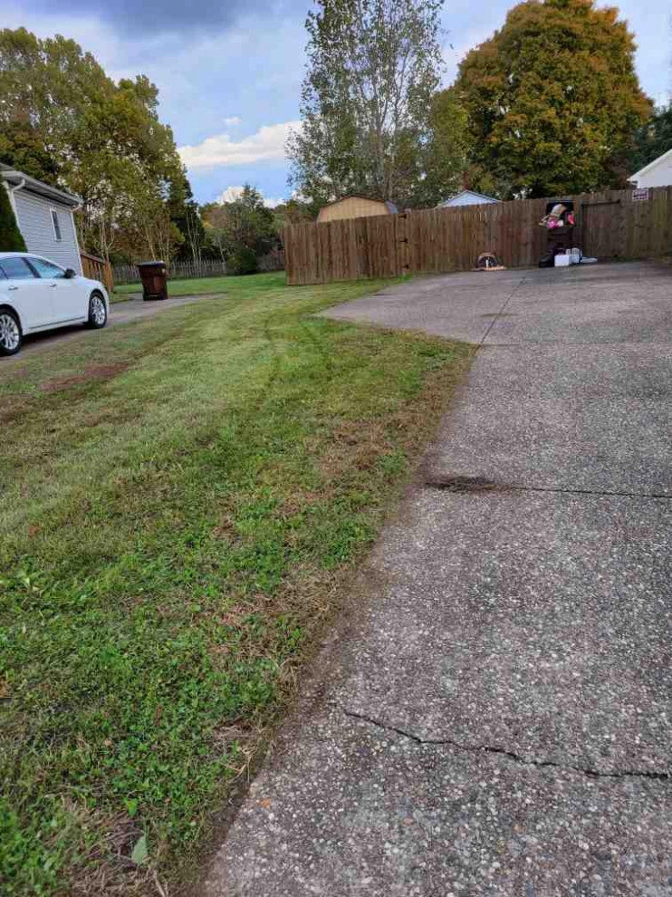 Alberto Alavez Professional Lawn Services LLC 7 by Alberto Alavez Professional Lawn Services LLC - Photo 17