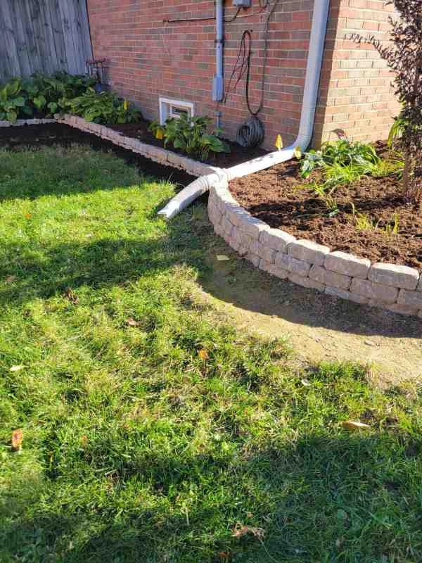 Alberto Alavez Professional Lawn Services LLC 7 by Alberto Alavez Professional Lawn Services LLC - Photo 20