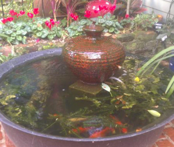 Dbh Designs. LLC - Photo 5