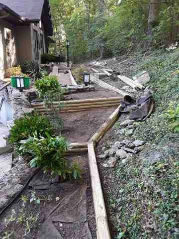 Alberto Alavez Professional Lawn Services LLC 1 by Alberto Alavez Professional Lawn Services LLC - Photo 54