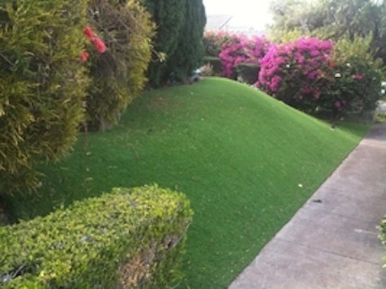 Nylawn - Photo 5