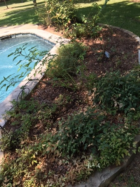 Fairview Texas Design/Installation Before & After Photos by Absolutely Bushed Landscaping - Photo 13
