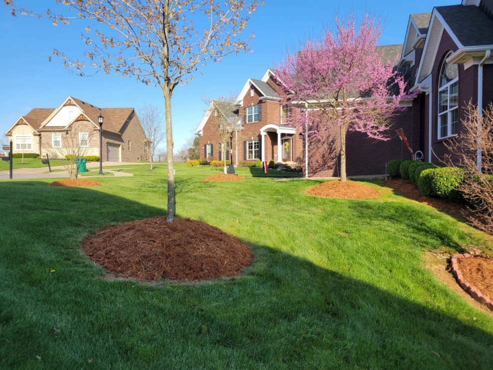 Alberto Alavez Professional Lawn Services LLC 14 by Alberto Alavez Professional Lawn Services LLC - Photo 10
