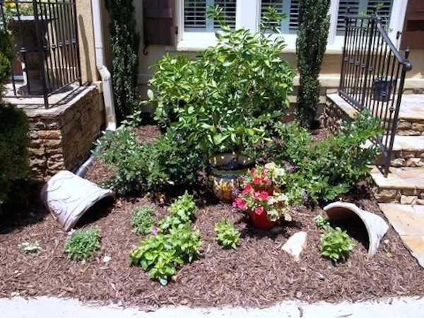 Picture Perfect Lawn Care - Photo 4