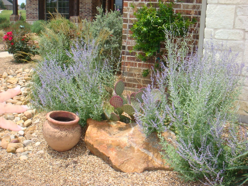 Xeriscaping by Absolutely Bushed Landscaping - Photo 8