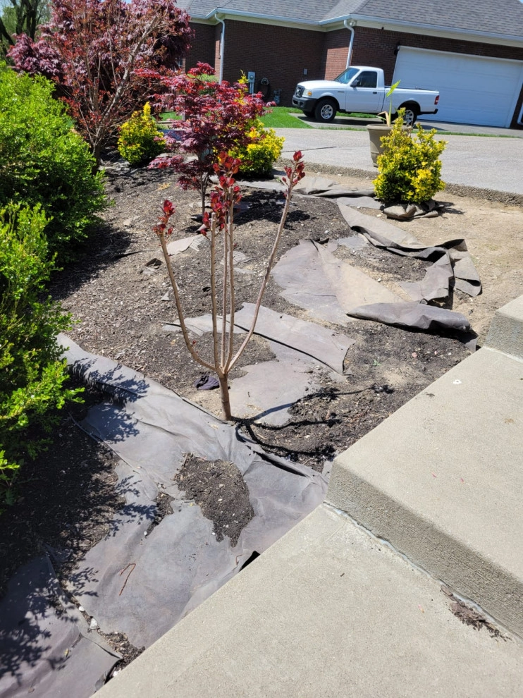 Alberto Alavez Professional Lawn Services LLC 14 by Alberto Alavez Professional Lawn Services LLC - Photo 2