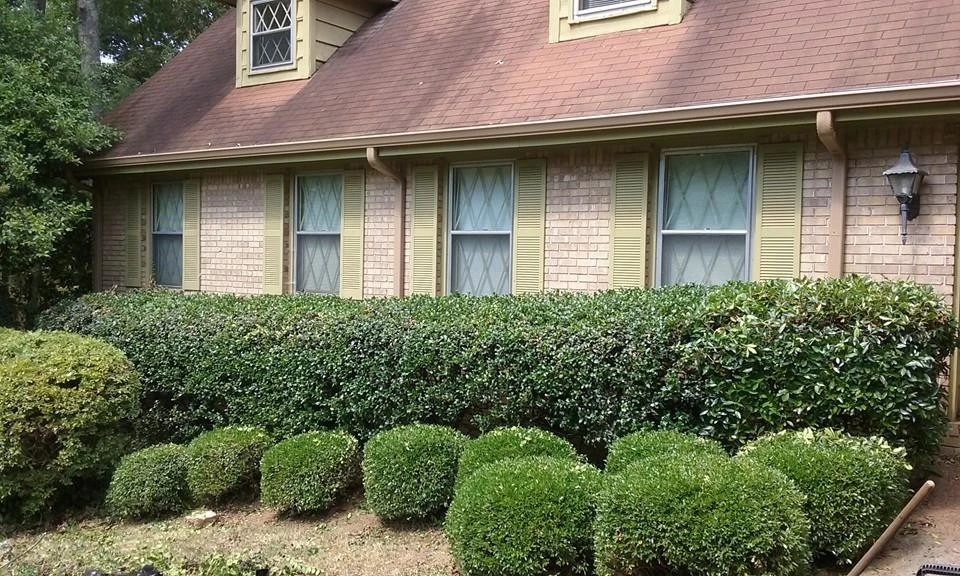 Pruitt's Lawn Care - Photo 2