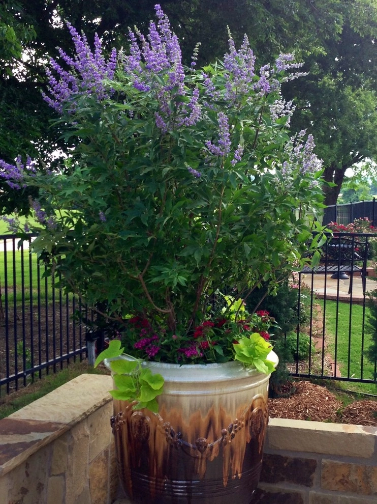 Prosper Fall Landscaping by Absolutely Bushed Landscaping - Photo 3