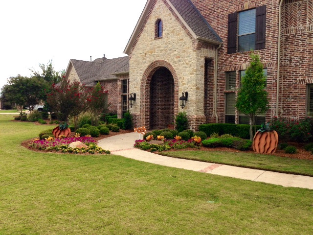 Prosper Fall Landscaping by Absolutely Bushed Landscaping - Photo 7