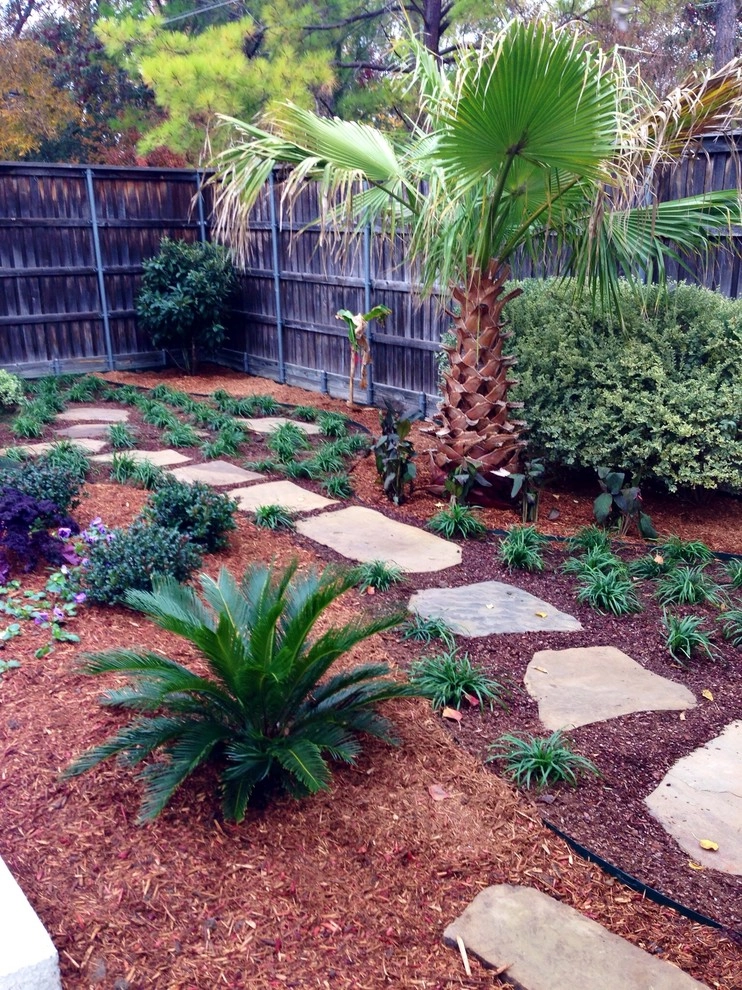 Dallas Landscaping by Absolutely Bushed Landscaping - Photo 3