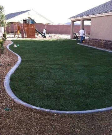 Silver State Landscaping - Photo 6