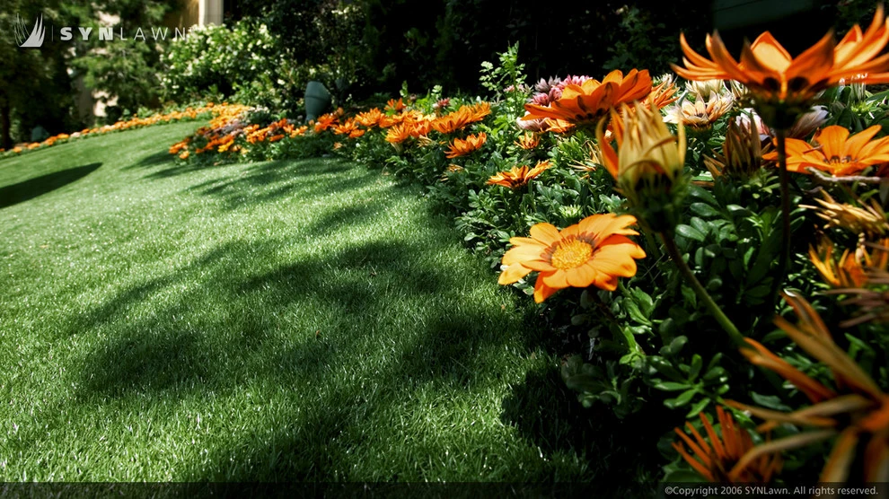 SYNLawn Of Nevada - Photo 11
