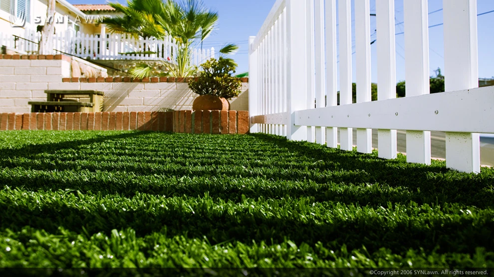 SYNLawn Of Nevada - Photo 5