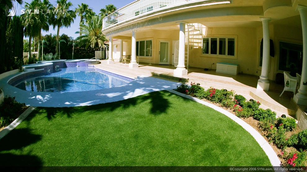 SYNLawn Of Nevada - Photo 10