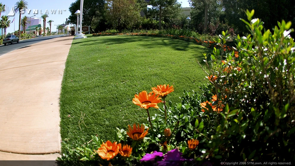 SYNLawn Of Nevada - Photo 7
