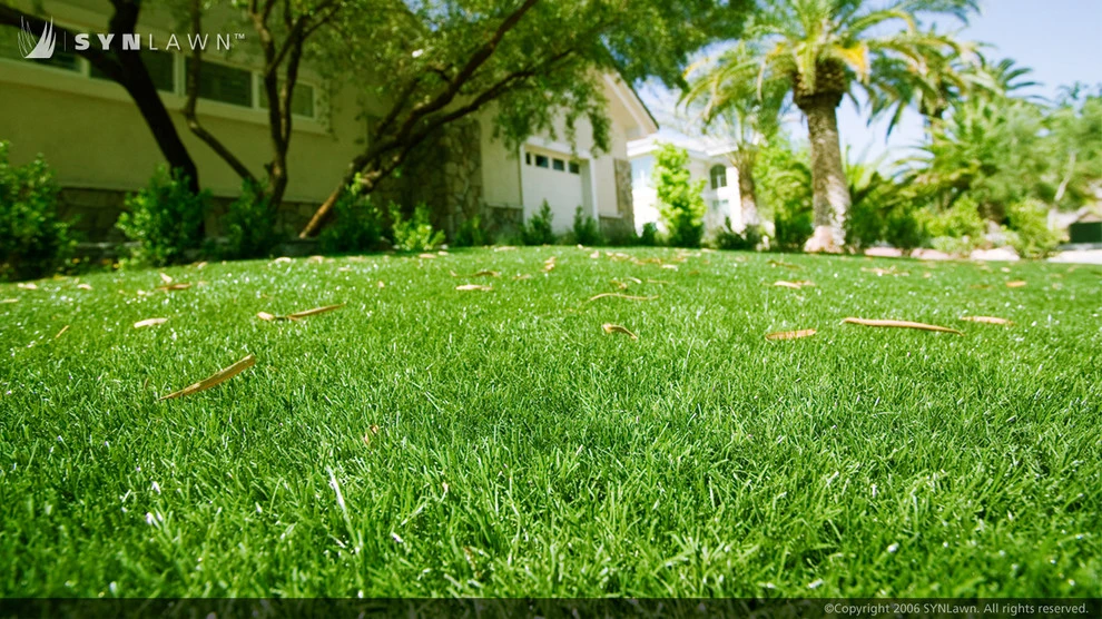 SYNLawn Of Nevada - Photo 6