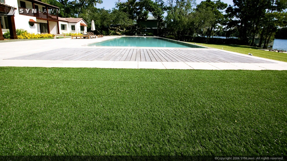 SYNLawn Of Nevada - Photo 12