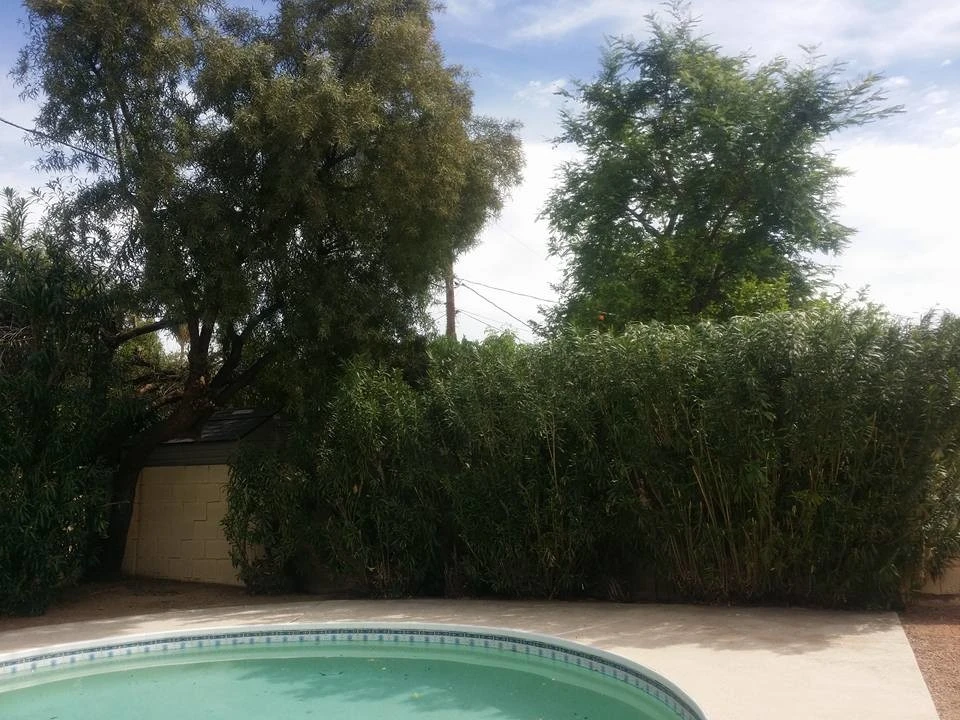 Tommy's Yards Landscaping - Photo 3